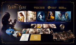 Beauty and the Beast Single Side Lenticular.jpg