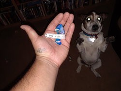 20180225_175655.jpg