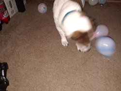 20180225_175554.jpg