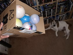 20180225_175528.jpg