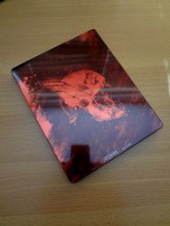 DSC07793 (Medium).JPG