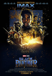 kinopoisk.ru-Black-Panther-3120880.jpg