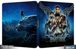 #114 Black Panther (SC).png