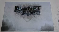18.jpg 18.jpg