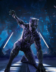 kinopoisk.ru-Black-Panther-3137481.jpg