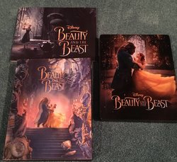 Beauty and the Beast 1.jpg
