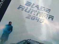 32535027_1840150029435298_8279492753822318592_n.jpg 32535027_1840150029435298_8279492753822318592_n.jpg