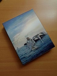DSC08125 (Medium).JPG