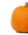 C44CC48C-E1AA-4BBD-96C8-A2BF6649E98E.png