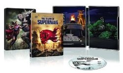 Death of Superman SB.JPG