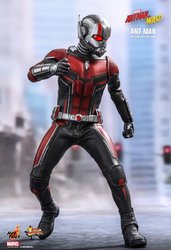 HT_Antman2_Ant_2.jpg
