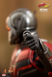 HT_Antman2_Ant_11.jpg