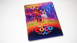 coco_steel_01.JPG