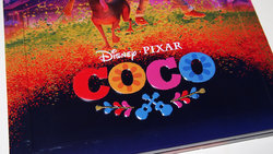 coco_steel_02.JPG
