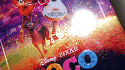coco_steel_05.JPG