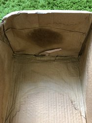 IMG_0784.jpg