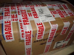 140. What's in the Box!.jpg