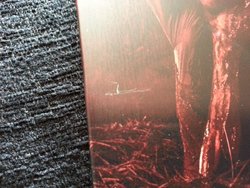 EVIL DEAD 2013 PIC 3.jpg