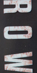 CM02_12w.jpg