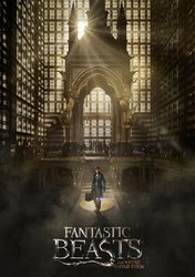 fantastic-beasts-and-where-to-find-them-56924f65951aa.jpg fantastic-beasts-and-where-to-find-them-56924f65951aa.jpg