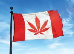 happy canada.jpg happy canada.jpg