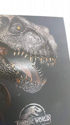 _20181109_052059.JPG _20181109_052059.JPG