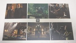 _20181109_054741.JPG