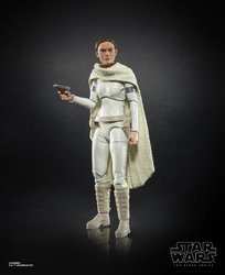 Star Wars The Black Series 6-inch Padme Amidala Figure.jpg