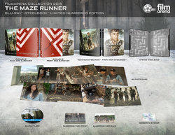 The Maze Runner.jpg