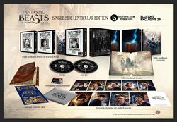 Single Side Lenticular Edition.jpg Single Side Lenticular Edition.jpg