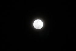 IMG_2678.JPG