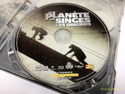 Rise Planet 3.jpg