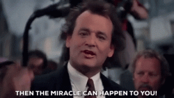 giphy (2).gif