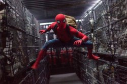 spider_man_homecoming_cages_3840.1498323508.jpg spider_man_homecoming_cages_3840.1498323508.jpg