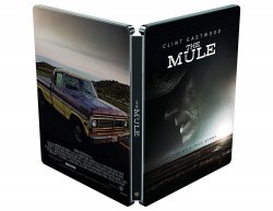 Mule4.jpg