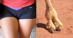 camel-toe.jpg