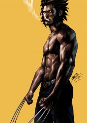 Wolverine.jpg