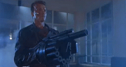 T2.gif