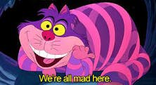 AiW Ch Cat.jpg