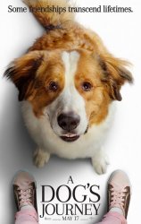 dogs_journey.jpg