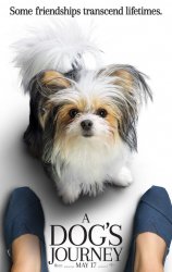 dogs_journey_ver3.jpg