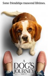 dogs_journey_ver4.jpg