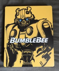 Bumblebee 1.jpg