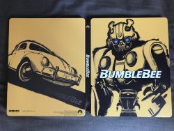 Bumblebee 2.jpg