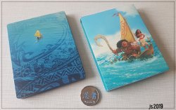 k_moana_2.jpg