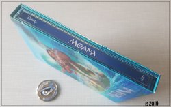 k_moana_4.jpg