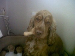 IMG_12740155234336.jpeg