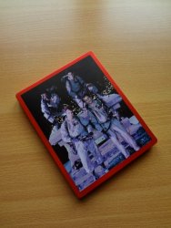 DSC00187 (Medium).JPG