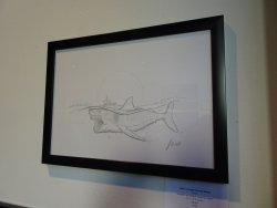 DSC02148.JPG