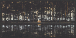 3.gif 3.gif